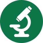 Testing & Quality Assurance